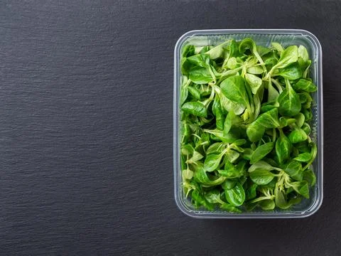 Lambs lettuce in a rectangular food container over black slate background. Stock Photos