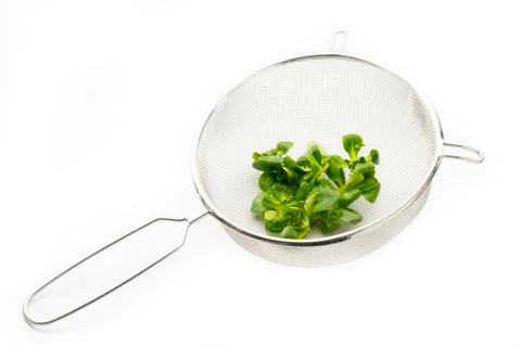 Lamb's lettuce on strainer Stock Photos