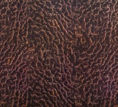 Lamb's skin background Stock Photos