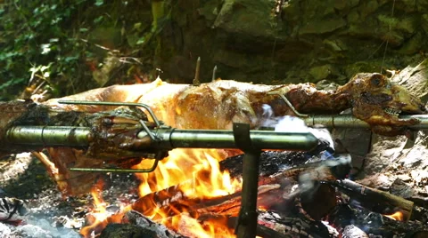 Lambs on the spit. Stock Footage 68161305