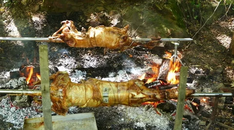 Lambs on the spit. Stock Footage 68161459