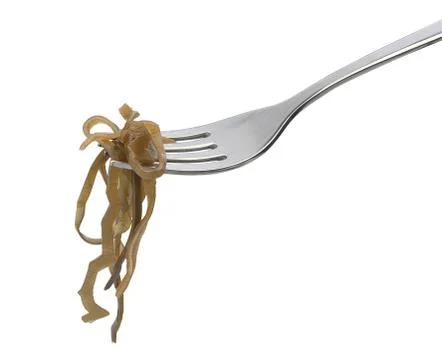 Laminaria Stock Photos