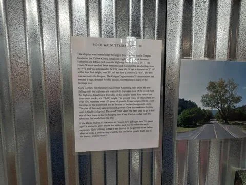 Laminated historical document about the Hinds Walnut Tree Stock-Fotos