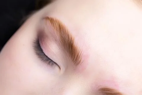 Lamination of eyebrows Stock Photos