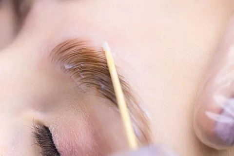 Lamination of eyebrows Stock Photos