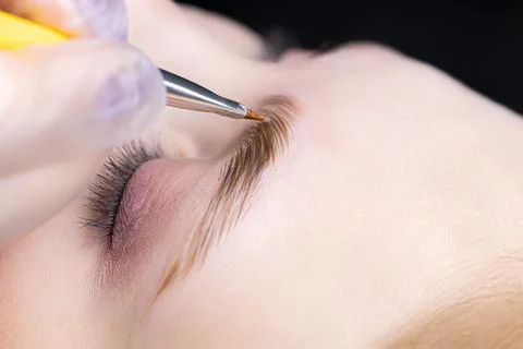 Lamination of eyebrows Stock Photos