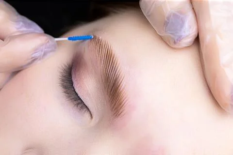 Lamination of eyebrows Stock Photos