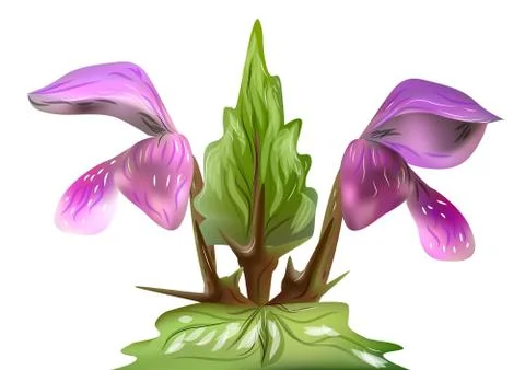 Lamium Stock Illustration