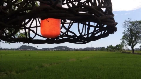 Lamp (1) Video stock 307908571