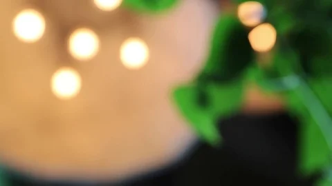 Lamp against a background of plants Stock Footage 73669858