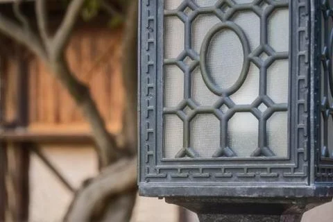 Lamp against the background of tree trunk Magnolia Stock Photos
