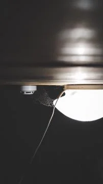 Lamp and spider's web on the ceiling Stock Photos