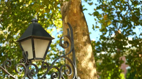 Lamp and Trees Blowing in the Wind 動画素材 35827015