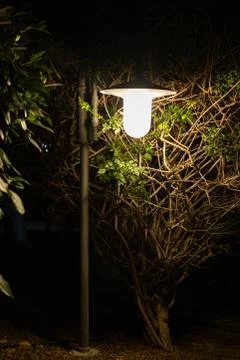 Lamp in between the bushes Stock Photos