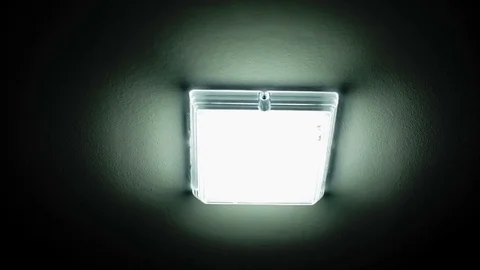 Lamp on the ceiling Stock Footage 81833686