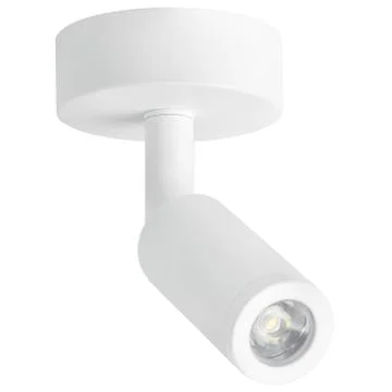 Lamp ceiling light on an isolated background. Backlight. Stock Photos