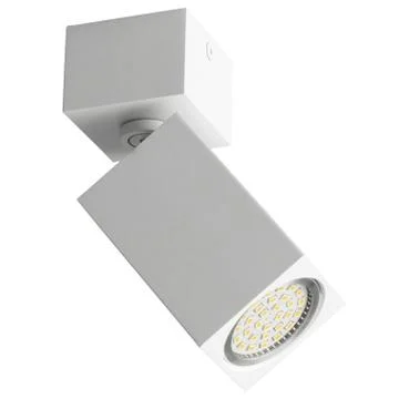 Lamp ceiling light on an isolated background. Backlight. Stock Photos