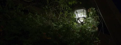 Lamp in the dark Stock Footage 277125609