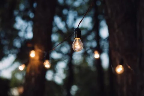 Lamp decoration in forest. Elements of the wedding decor in evening ceremony. Foto stock