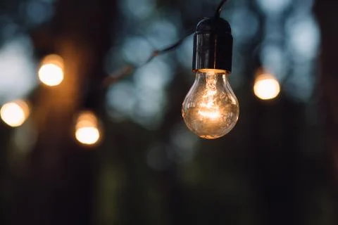 Lamp decoration in forest. Elements of the wedding decor in evening ceremony. Foto stock