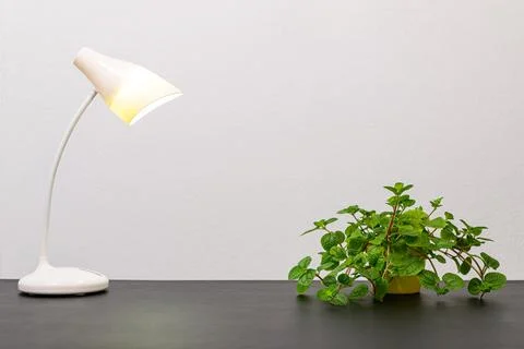Lamp is on the desk Stock Photos