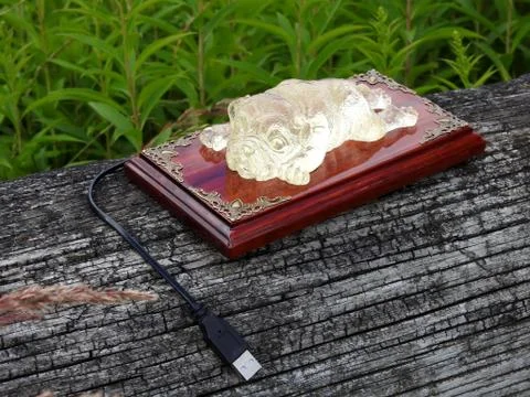 Lamp dog made of solid mahogany and epoxy resin Stock Photos