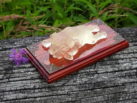 Lamp dog made of solid mahogany and epoxy resin Stock Photos