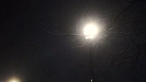 Lamp During Nighttime Snowstorm Video stock 168999810
