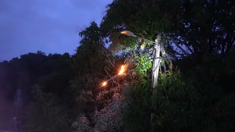 A lamp focus at the burning wire at outdoor Video stock 202046103
