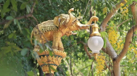 Lamp Stock Footage