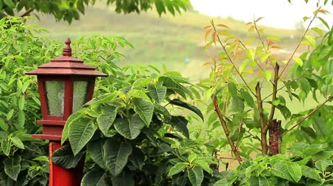 Lamp Stock Footage 22936261