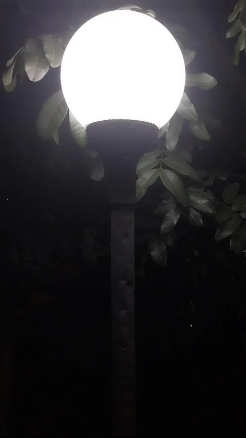 Lamp Stock Footage 303215801