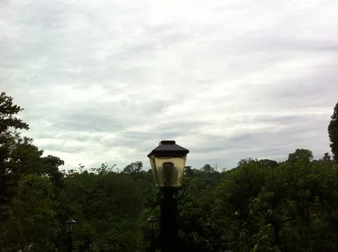 Lamp in the forest Stockfoto's