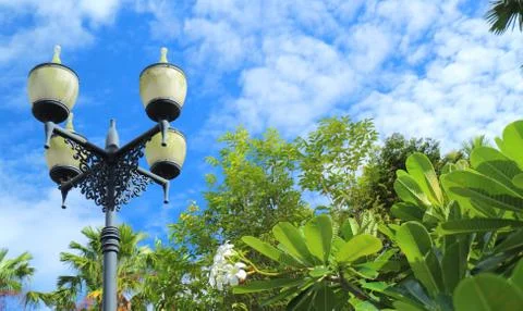 Lamp in garden Foto stock