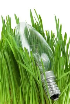 Lamp in grass isolated Stock Photos