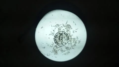 Lamp Light Stock Photos