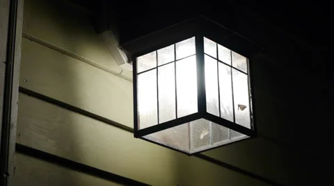 Lamp with Moths Stock-Footage 32885163