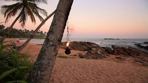 Lamp on a palm tree at sunset Stock Footage 73563844
