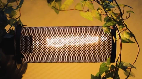 Lamp for plants. warming from the cold. sunbath. farm illumination technology 스톡 동영상 120134543