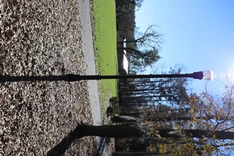 Lamp post and it's shadow directly under the sun in a park during winter seas Stock Photos