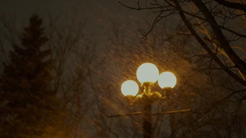 Lamp post and trees during snow storm. Video stock 104018465