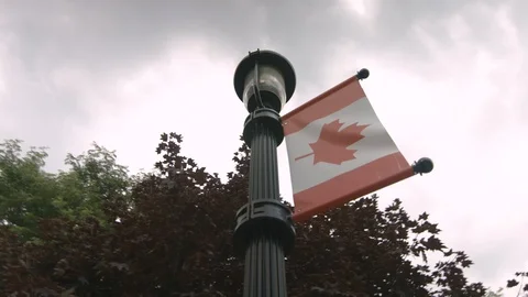 Lamp Post With Canadian Flag Stock Footage 115045006