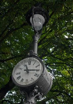 Lamp post with a clock under a tree crown Stock Photos