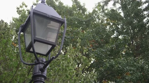 Lamp post in front of trees in NYC park Stock Footage 52971216