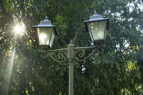 Lamp post on green trees background with sunset star shape flare, soft focu.. Stock-Fotos