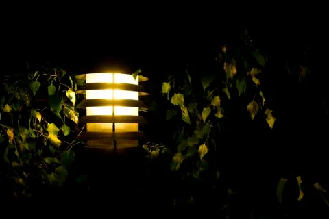 Lamp post lighting on birch tree Stock Photos