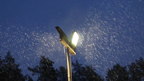 Lamp post with snow falling in calm winter scene Video stock 94507818