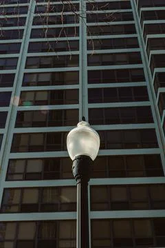 Lamp post stands at the base of a tall building while branches reach above .. Stock Photos