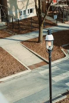 A lamp post stands on a side of the road, casting light. Brown leaves cover t Stock Photos