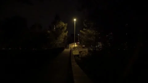 Lamp post street light bridge night pine trees bridge creek creepy Terrassa Stock Footage 340896923